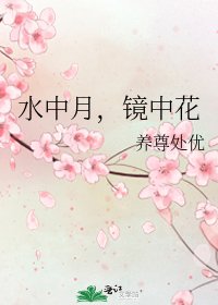 水中月,鏡中花