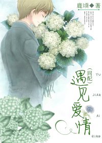 遇见爱情(网配)